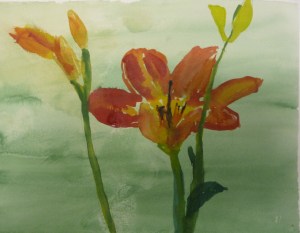 Becca's daylily