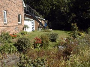 firehouse fall flowering